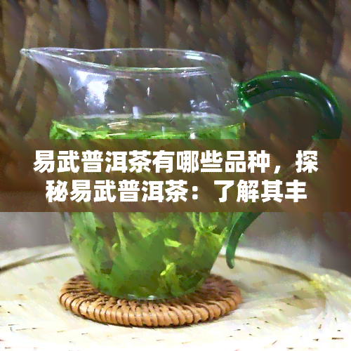 易武普洱茶有哪些品种，探秘易武普洱茶：了解其丰富多样的品种