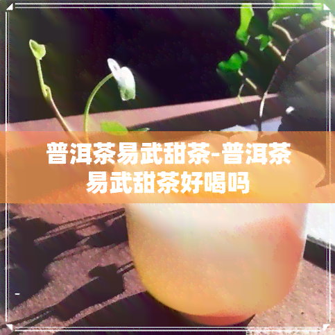 普洱茶易武甜茶-普洱茶易武甜茶好喝吗