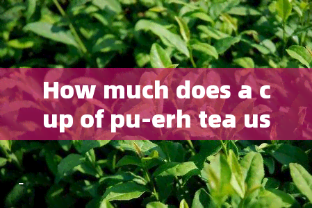 How much does a cup of pu-erh tea usually cost? Do you know?