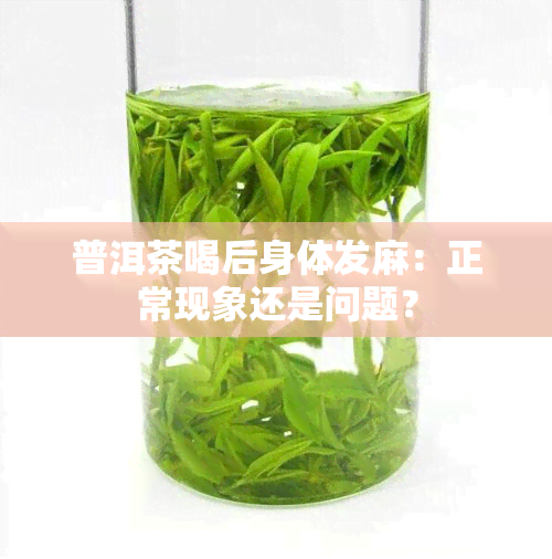 普洱茶喝后身体发麻：正常现象还是问题？