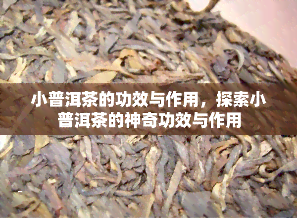 小普洱茶的功效与作用，探索小普洱茶的神奇功效与作用