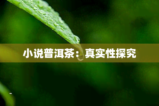 小说普洱茶：真实性探究