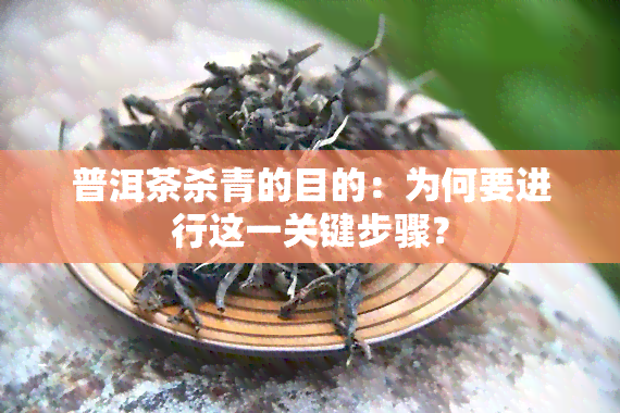 普洱茶杀青的目的：为何要进行这一关键步骤？