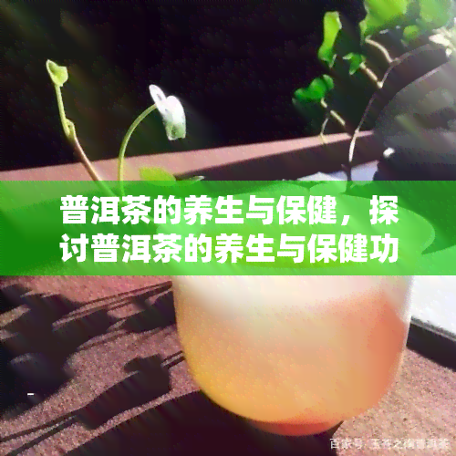 普洱茶的养生与保健，探讨普洱茶的养生与保健功效