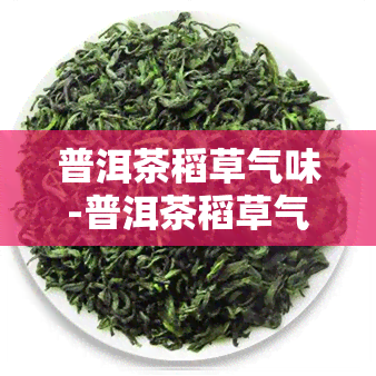 普洱茶稻草气味-普洱茶稻草气味有吗