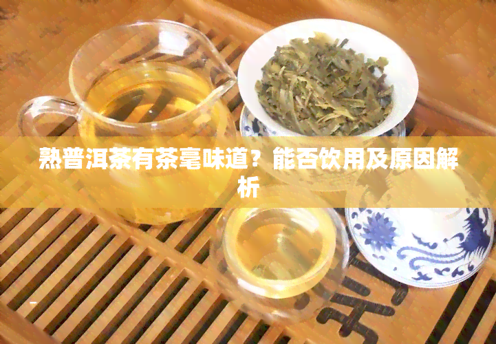 熟普洱茶有茶毫味道？能否饮用及原因解析