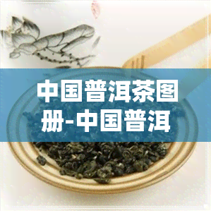 中国普洱茶图册-中国普洱茶图册大全