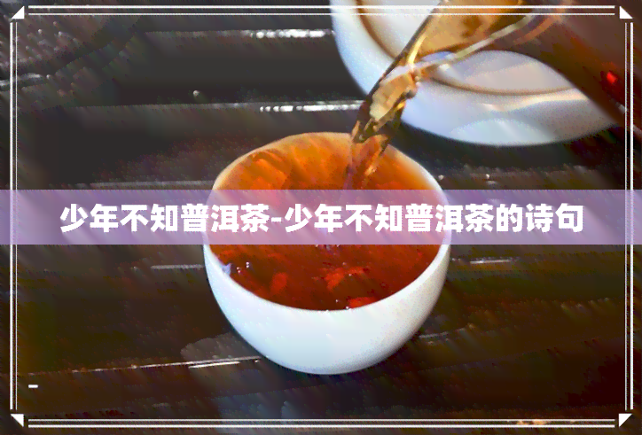 少年不知普洱茶-少年不知普洱茶的诗句