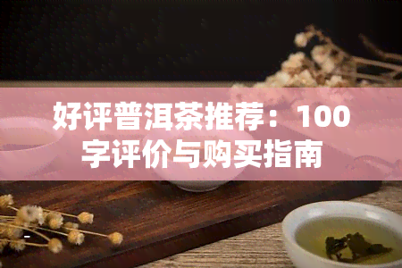 好评普洱茶推荐：100字评价与购买指南