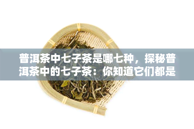 普洱茶中七子茶是哪七种，探秘普洱茶中的七子茶：你知道它们都是什么吗？