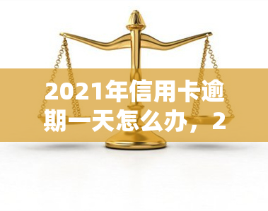 2021年信用卡逾期一天怎么办，2021年信用卡逾期一天的应对策略