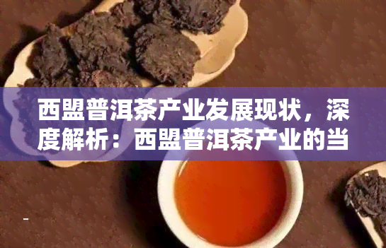 西盟普洱茶产业发展现状，深度解析：西盟普洱茶产业的当前发展状况