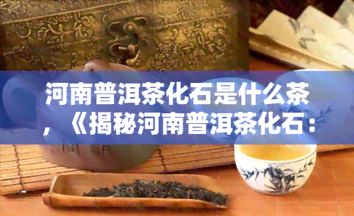 河南普洱茶化石是什么茶，《揭秘河南普洱茶化石：这是一种什么样的茶？》