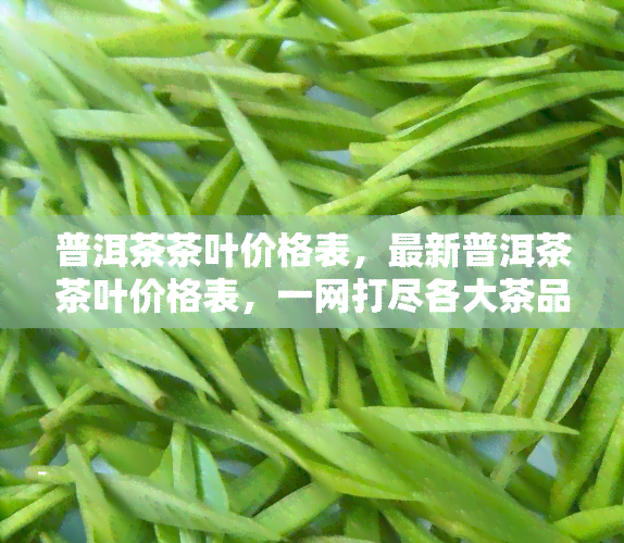 普洱茶茶叶价格表，最新普洱茶茶叶价格表，一网打尽各大茶品价格信息！