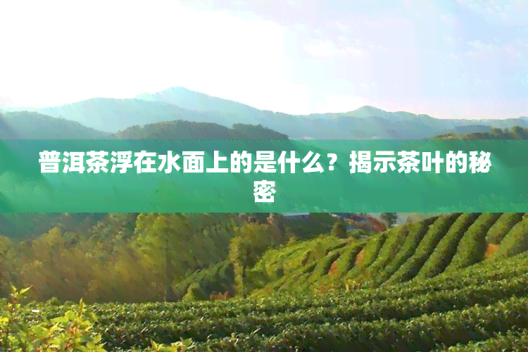 普洱茶浮在水面上的是什么？揭示茶叶的秘密