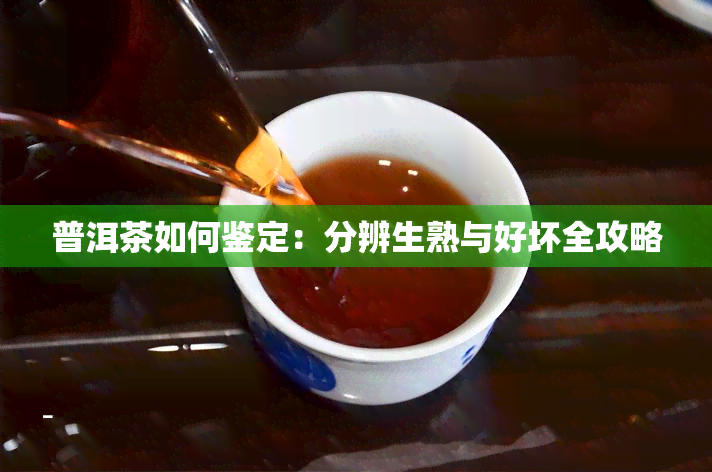 普洱茶如何鉴定：分辨生熟与好坏全攻略