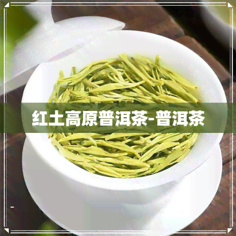 红土高原普洱茶-普洱茶