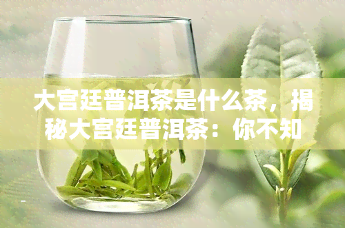 大宫廷普洱茶是什么茶，揭秘大宫廷普洱茶：你不知道的中国古老名茶