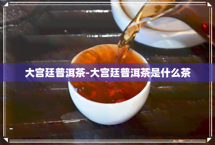 大宫廷普洱茶-大宫廷普洱茶是什么茶