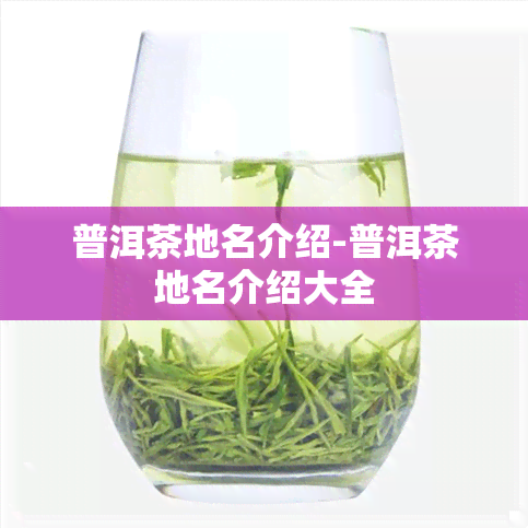 普洱茶地名介绍-普洱茶地名介绍大全