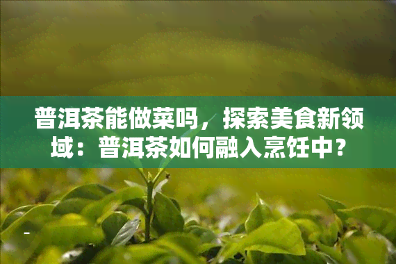 普洱茶能做菜吗，探索美食新领域：普洱茶如何融入烹饪中？