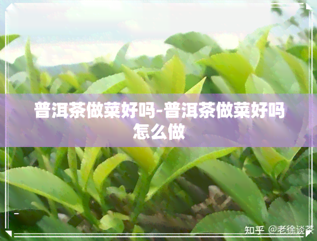 普洱茶做菜好吗-普洱茶做菜好吗怎么做