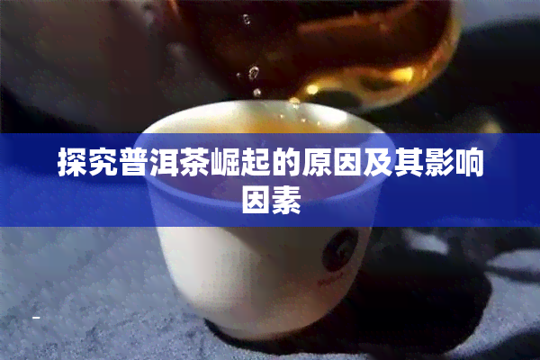 探究普洱茶崛起的原因及其影响因素