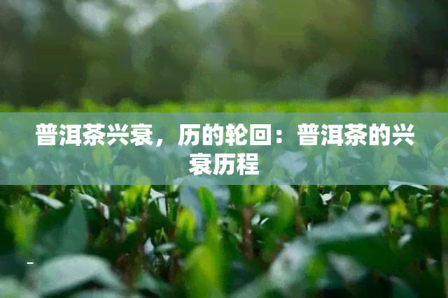 普洱茶兴衰，历的轮回：普洱茶的兴衰历程