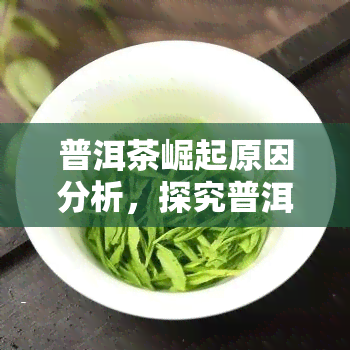 普洱茶崛起原因分析，探究普洱茶崛起的背后原因