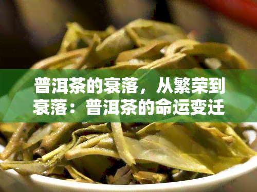 普洱茶的衰落，从繁荣到衰落：普洱茶的命运变迁