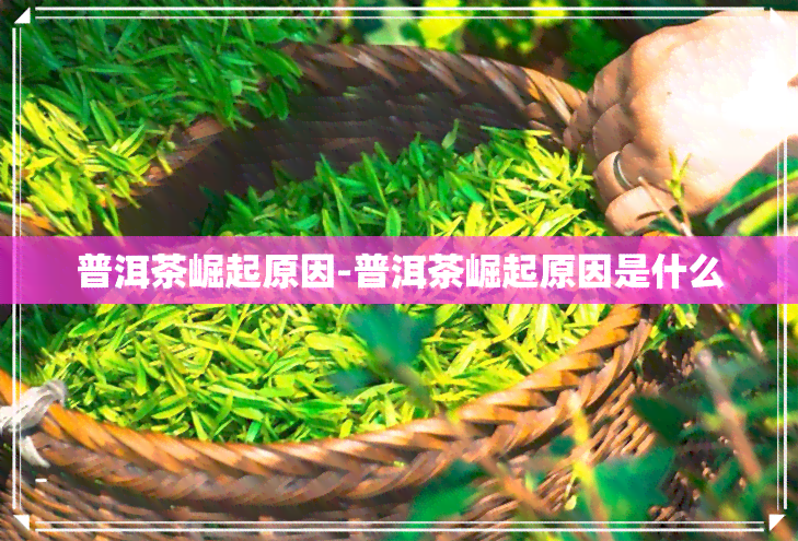 普洱茶崛起原因-普洱茶崛起原因是什么