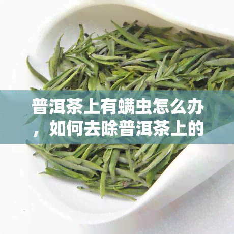 普洱茶上有螨虫怎么办，如何去除普洱茶上的螨虫？