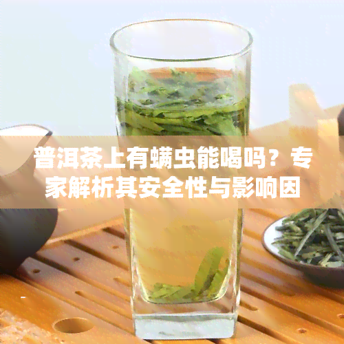 普洱茶上有螨虫能喝吗？专家解析其安全性与影响因素