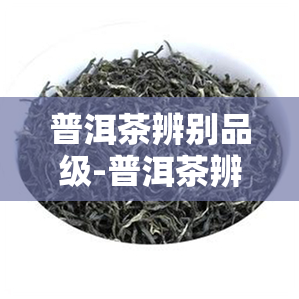 普洱茶辨别品级-普洱茶辨别品级的方法