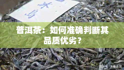 普洱茶：如何准确判断其品质优劣？