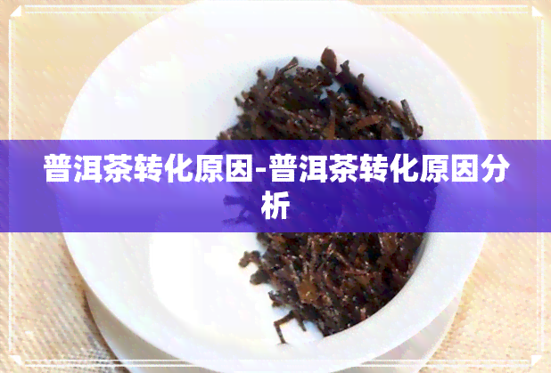 普洱茶转化原因-普洱茶转化原因分析