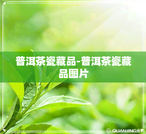 普洱茶瓷藏品-普洱茶瓷藏品图片