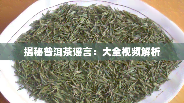 揭秘普洱茶谣言：大全视频解析