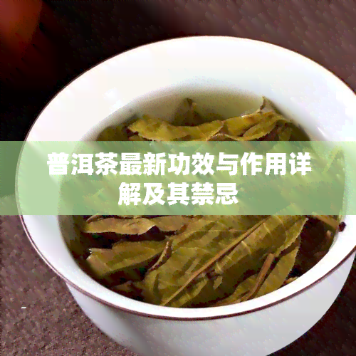 普洱茶最新功效与作用详解及其禁忌