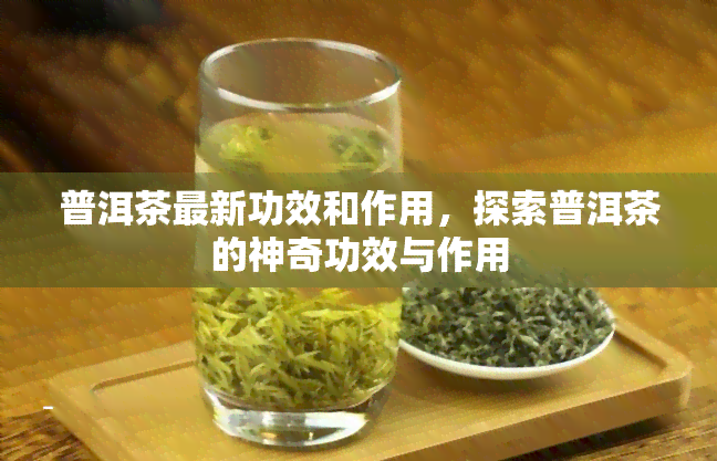 普洱茶最新功效和作用，探索普洱茶的神奇功效与作用