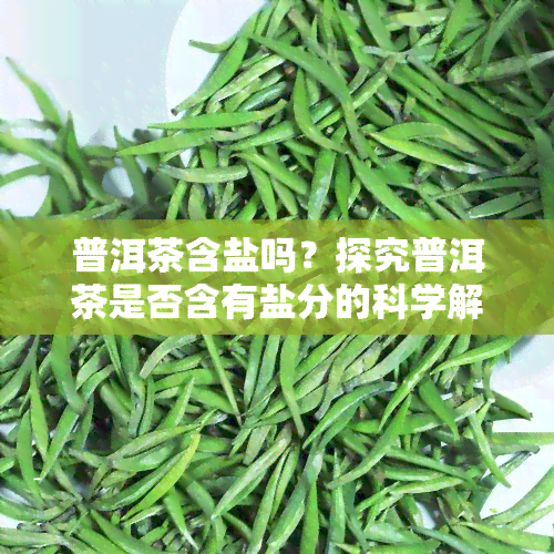 普洱茶含盐吗？探究普洱茶是否含有盐分的科学解释