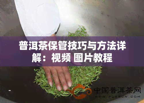 普洱茶保管技巧与方法详解：视频 图片教程