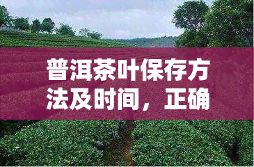 普洱茶叶保存方法及时间，正确保存普洱茶叶，长其寿命！