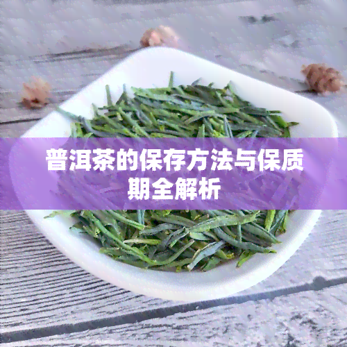 普洱茶的保存方法与保质期全解析