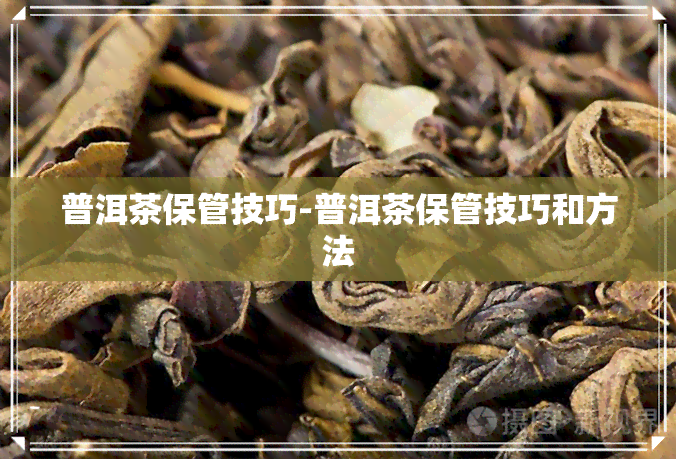 普洱茶保管技巧-普洱茶保管技巧和方法