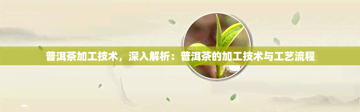 普洱茶加工技术，深入解析：普洱茶的加工技术与工艺流程