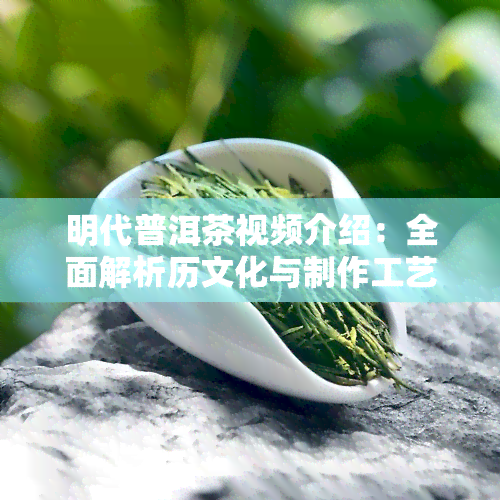 明代普洱茶视频介绍：全面解析历文化与制作工艺