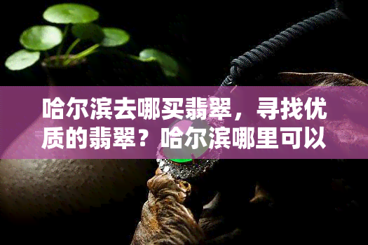 哈尔滨去哪买翡翠，寻找优质的翡翠？哈尔滨哪里可以购买到呢？