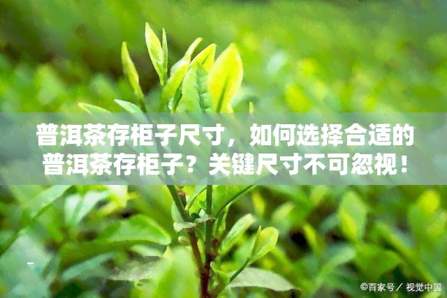 普洱茶存柜子尺寸，如何选择合适的普洱茶存柜子？关键尺寸不可忽视！