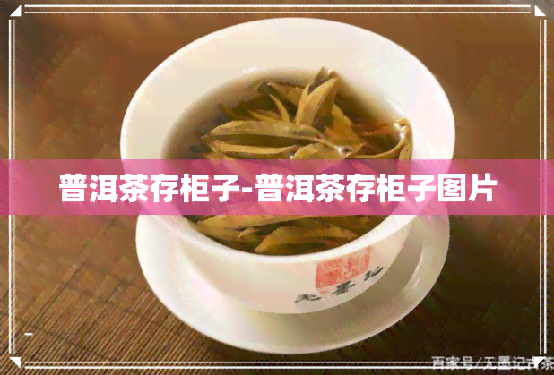 普洱茶存柜子-普洱茶存柜子图片